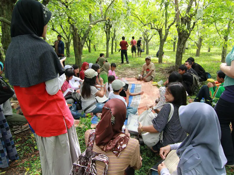 belimbing ngeringinrejo Agrowisata