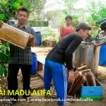 Cari Yang Jual Madu Asli? Madu Alifa Solusinya 2 Madu Alifa RR 2