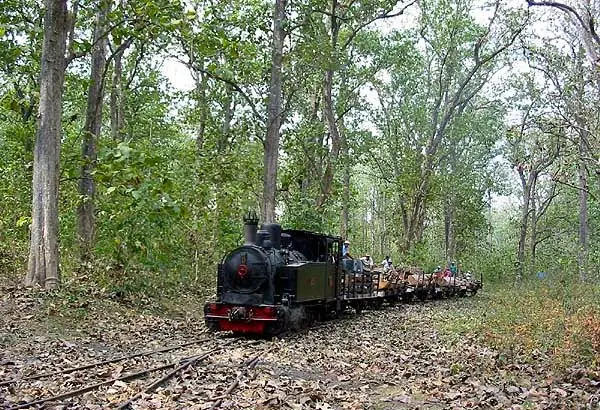 Tempat Wisata di Cepu Blora Jawa Tengah Yang Terkenal